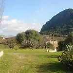 Petrel Pollensa