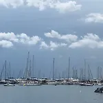 Petrel