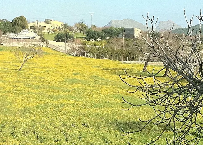 Hébergement de vacances Petrel *